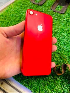 iphone 7 pta aproved
