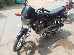 GD