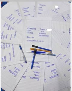 Handwriting Assignment Content Writing And Data Entry Work