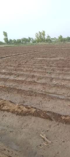 AGRICULTURE LAND