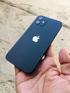 iPhone 12 non pta 64gb