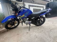 yamaha