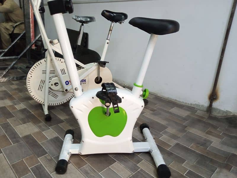 Exercise ( Magnetic Apple bike) cycle 1