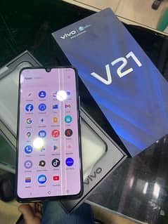 vivo