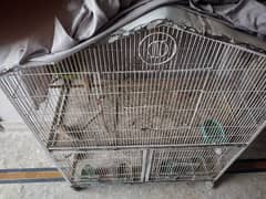 Cage with birds complete setup