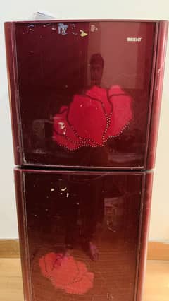 Orient medium size