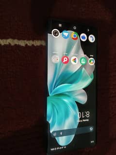 vivo