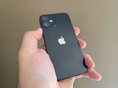 iPhone 12 (jv) 10/10 conditon