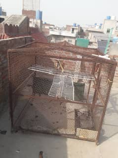 birds ka pinjara