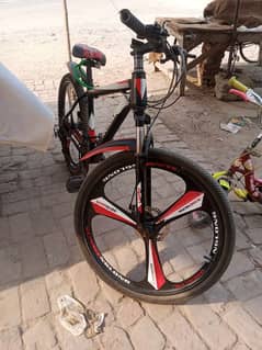 Royal Rioer bicycle