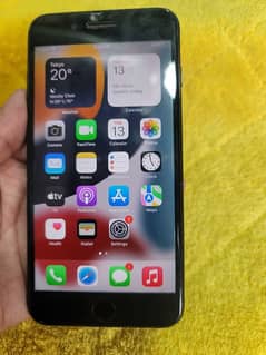 7Plus PTA