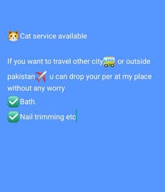 cat boarding service