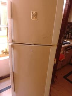 freezer for sale dawalance