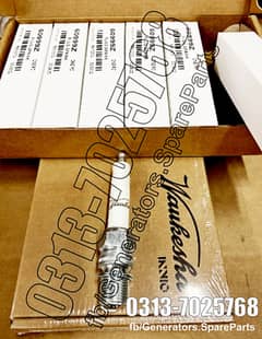 Waukesha Spark Plugs 60999Z