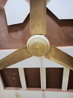 SK Fan For Sale