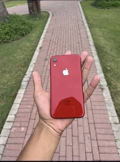 iphone xr mint condition for urgent sell