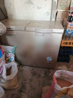 dawlannce 2 doors freezer