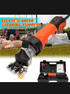 cheep clipper