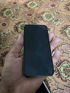iPhone 12 Pro full okay