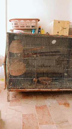 heavy birds cage