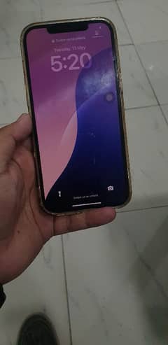 12 PRO MAX Non pta FACTORY