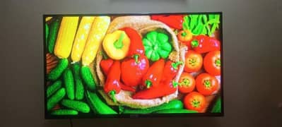 TCL 43-Inch Smart LED TV – Not Even One Scratch Or Defect. . .