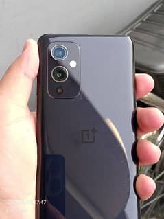 oneplus 9 available for sale