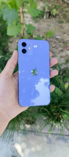 iPhone 12 Jv
