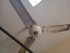 ceiling