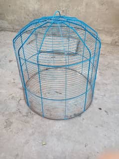 Hen
