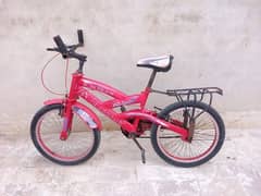 elegant cycle