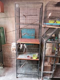 Breeders Love Birds