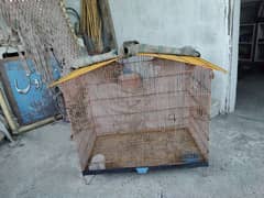 parrot cage