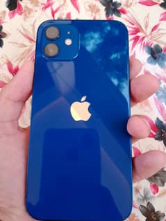 iPhone 12 waterpack