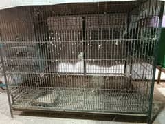 Bird Cages