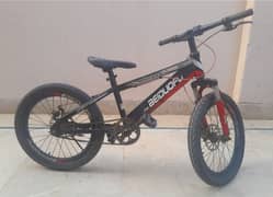 Mountain bike