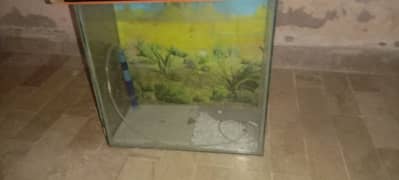 Aquarium
