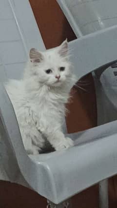 His name is Pandey