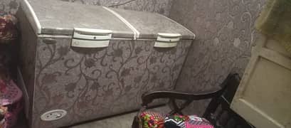 double door freezer