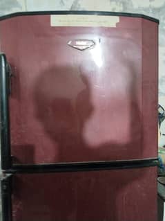 Haier Jumbo size home use Refrigerator