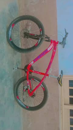 swabi