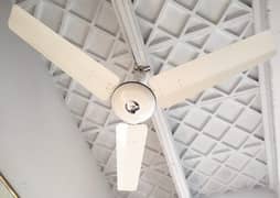 03361803897 Royal fan or Gfc fan 56 inch good condition