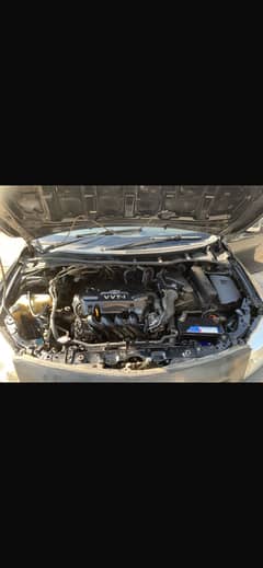 Corolla xli