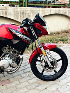 Yamaha YBR 125 cocktail red