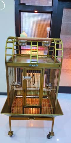 Grey Parrot / Cockatoo/ Macaw / Lorry & Eclectus Bird stand And Cages