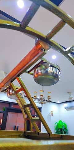 Grey Parrot / Cockatoo/ Macaw / Lorry & Eclectus Bird stand And Cages