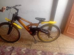 Cycle