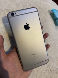 6s