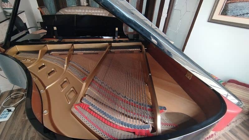 Steinway Boston Baby Grand Piano – Excellent Condition 4