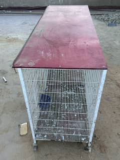 rust-proof cage